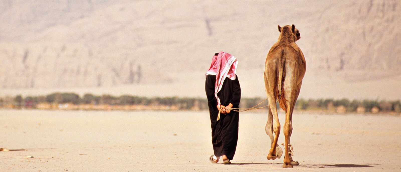 mann mit kamel in der wueste