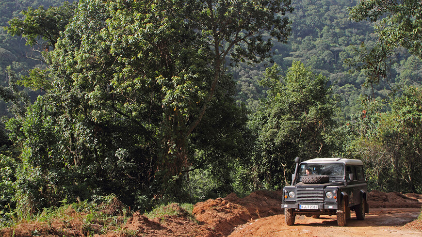 landrover im dschungel